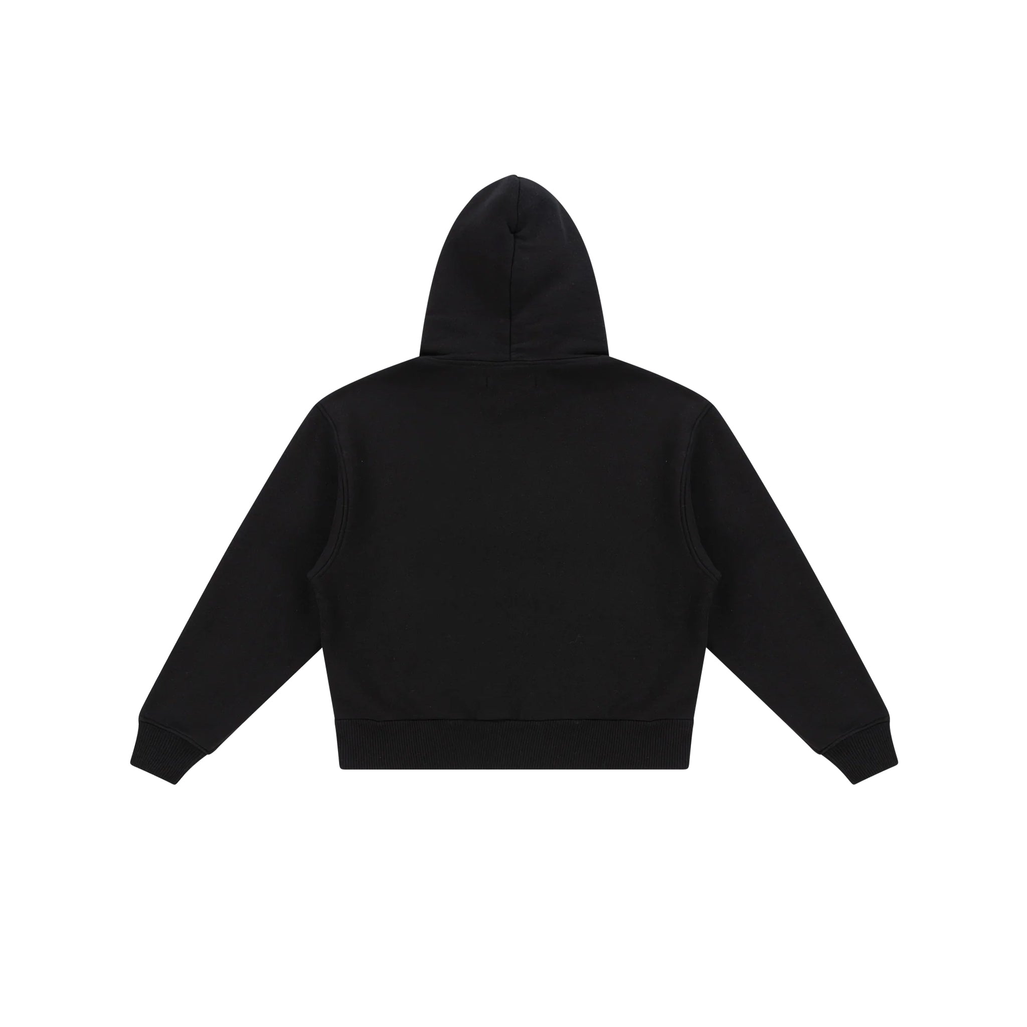 PALLeagueHoodieblack_2_cbbe8e8d-8c45-4da0-8f5a-c5f17de7f552.jpg